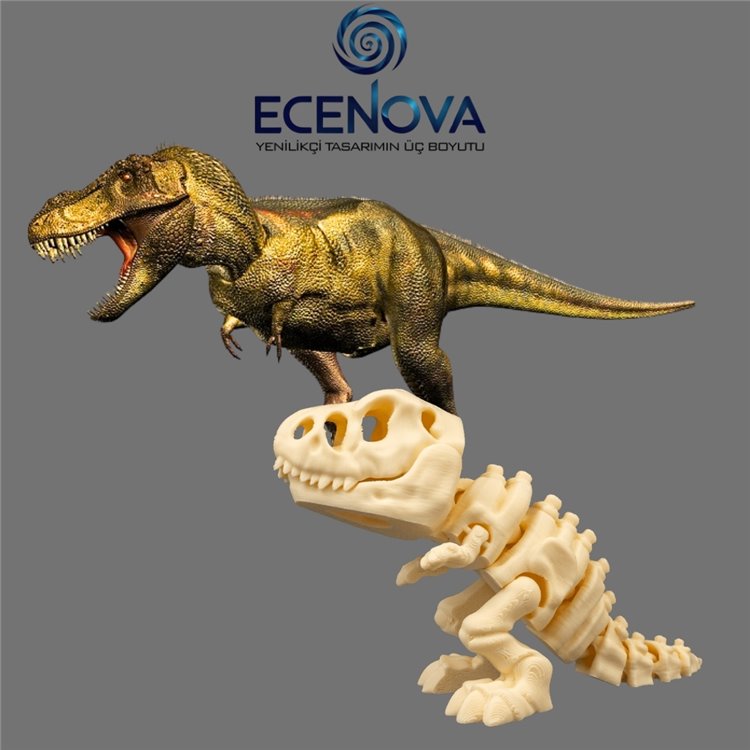 DINOZOR_KOLEKSIYONU_6_ADET_DINOZOR_FIGURU_-_ECENOVA_3D5_92.jpg